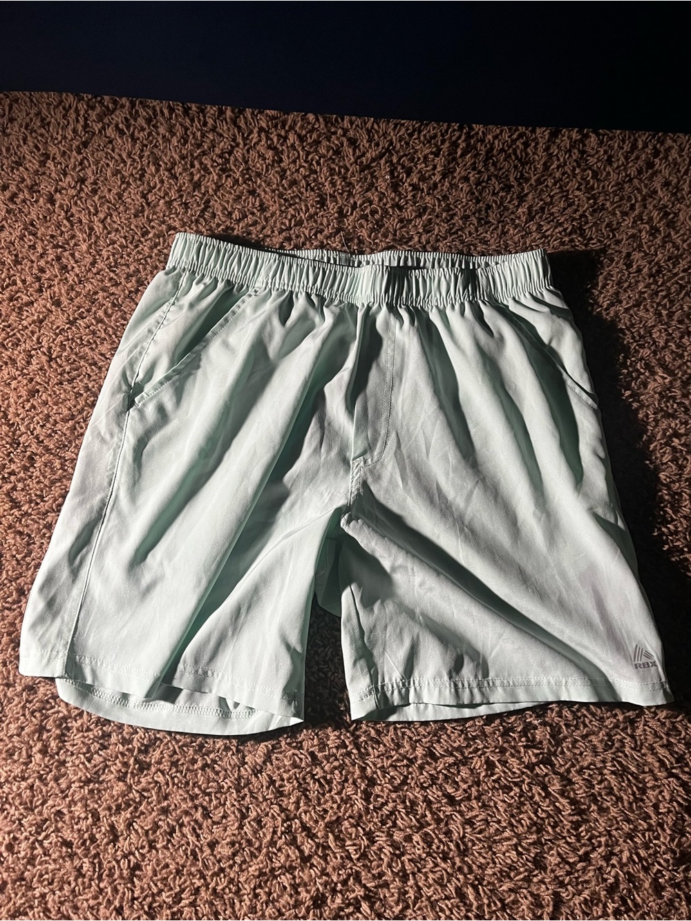RBX Men's Mint Green Swim Trunks